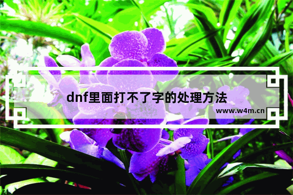 dnf里面打不了字的处理方法