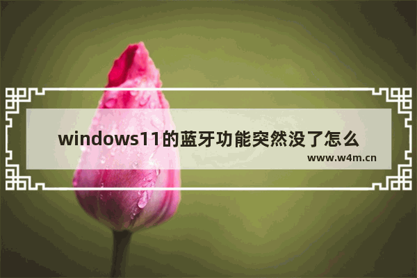 windows11的蓝牙功能突然没了怎么办 windows11的蓝牙功能突然没了解决办法