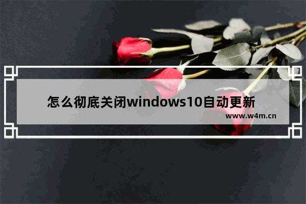 怎么彻底关闭windows10自动更新 彻底关闭windows10自动更新方法