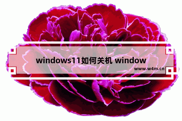 windows11如何关机 windows11关机方法