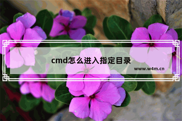 cmd怎么进入指定目录