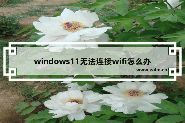 windows11无法连接wifi怎么办 windows11无法连接wifi解决办法