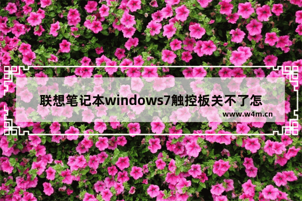 联想笔记本windows7触控板关不了怎么办 联想笔记本windows7触控板关不了解决方法