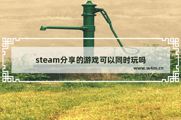 steam分享的游戏可以同时玩吗