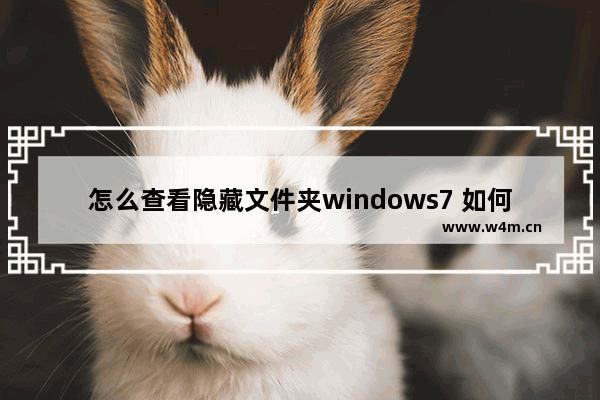 怎么查看隐藏文件夹windows7 如何查看隐藏文件夹windows7