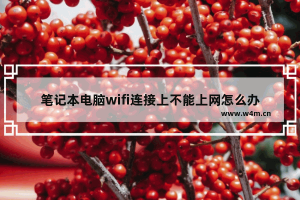 笔记本电脑wifi连接上不能上网怎么办