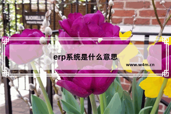 erp系统是什么意思