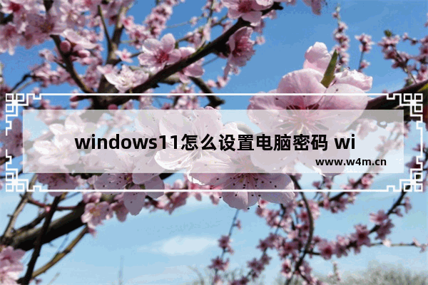 windows11怎么设置电脑密码 windows11设置电脑密码方法