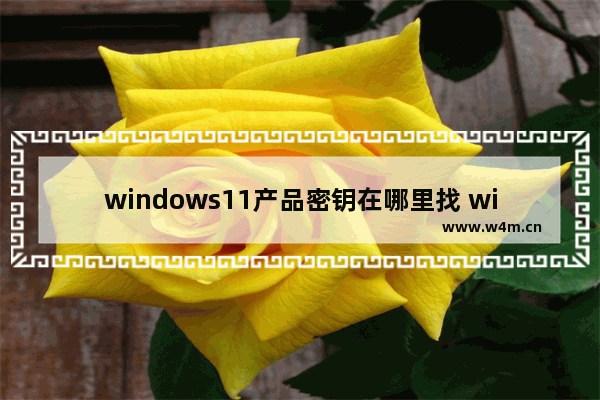 windows11产品密钥在哪里找 windows11产品密钥位置介绍