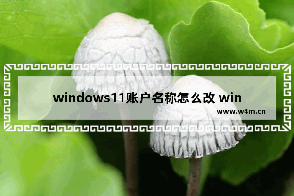 windows11账户名称怎么改 windows11账户名称修改方法