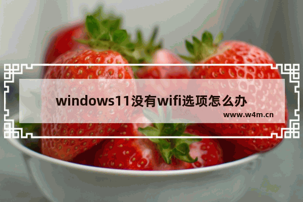 windows11没有wifi选项怎么办 windows11没有wifi选项解决办法