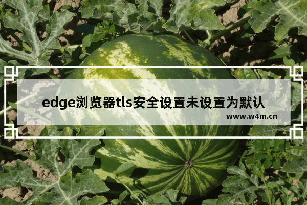 edge浏览器tls安全设置未设置为默认设置怎么办