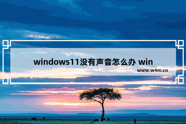 windows11没有声音怎么办 windows11没有声音解决办法