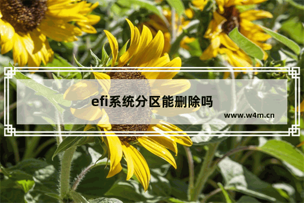 efi系统分区能删除吗