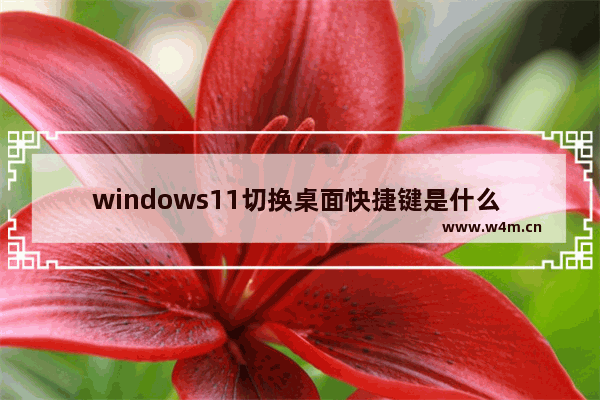 windows11切换桌面快捷键是什么 windows11切换桌面快捷键介绍