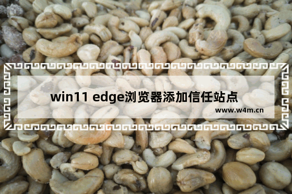 win11 edge浏览器添加信任站点 windows11的edge浏览器怎么添加信任站点