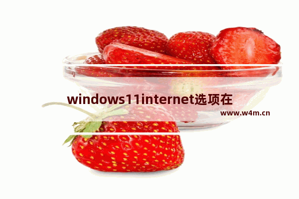 windows11internet选项在哪里 win11internet选项位置