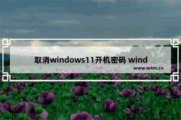 取消windows11开机密码 windows11怎么取消开机密码