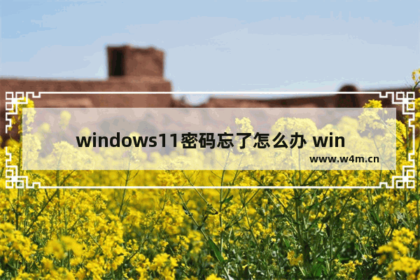 windows11密码忘了怎么办 win11系统密码忘记了怎么办