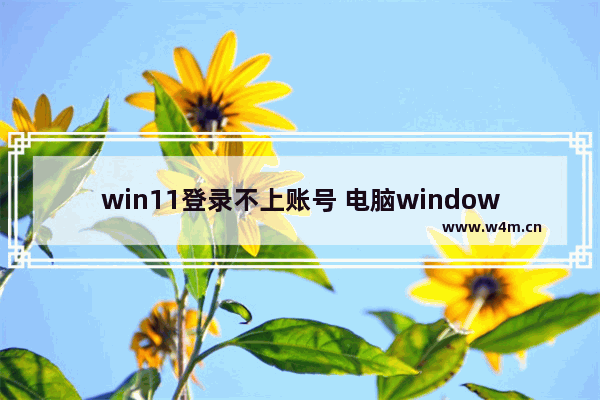 win11登录不上账号 电脑windows11注册账号后登录不了怎么办