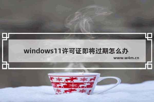 windows11许可证即将过期怎么办 windows11许可证即将过期解决办法