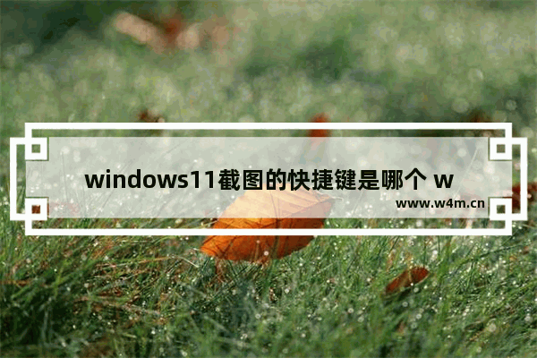 windows11截图的快捷键是哪个 win11快捷键截图是哪个键