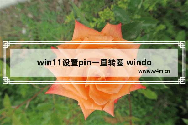 win11设置pin一直转圈 windows11pin码一直转圈解决方法