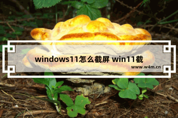 windows11怎么截屏 win11截屏方法