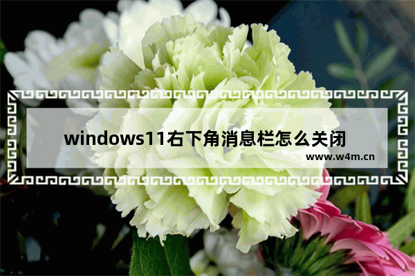 windows11右下角消息栏怎么关闭 win11右下角消息栏关闭方法