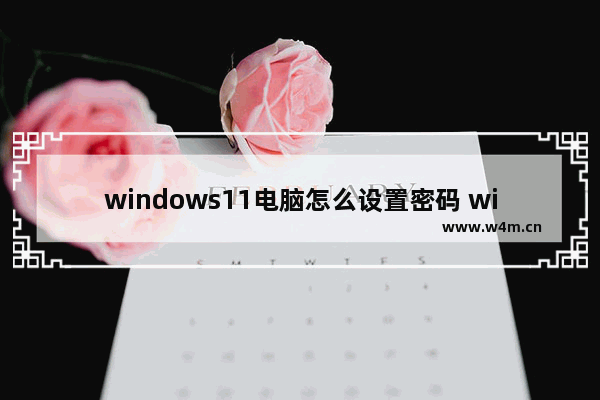 windows11电脑怎么设置密码 win11电脑设置密码方法