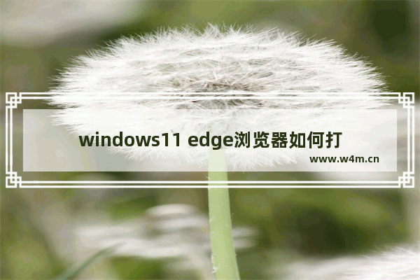 windows11 edge浏览器如何打开 怎样打开win11 edge浏览器