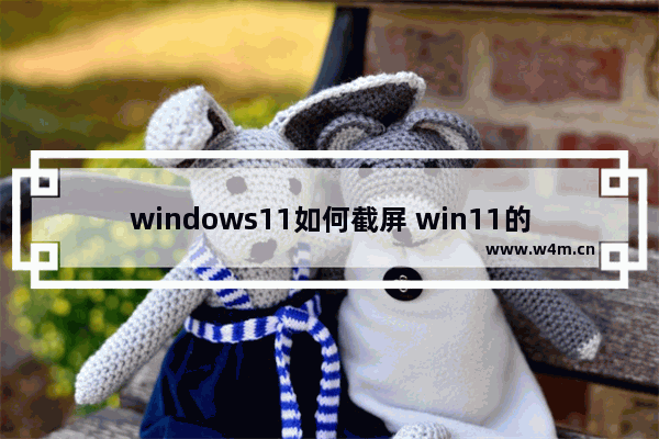 windows11如何截屏 win11的截屏使用方法