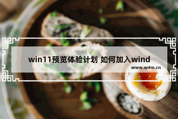 win11预览体验计划 如何加入windows11预览体验计划