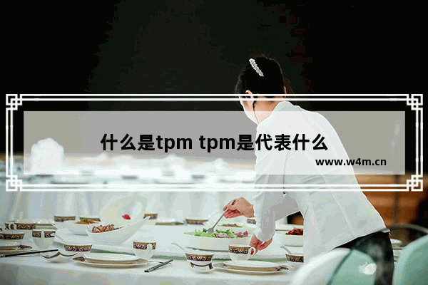 什么是tpm tpm是代表什么