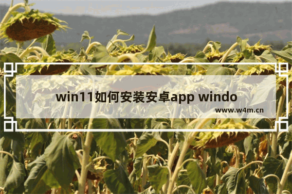 win11如何安装安卓app windows11安装安卓app教程