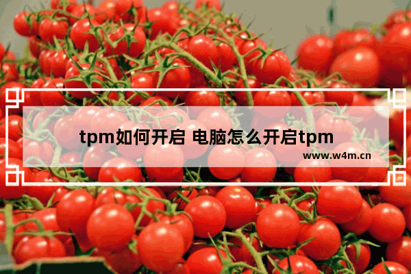 tpm如何开启 电脑怎么开启tpm