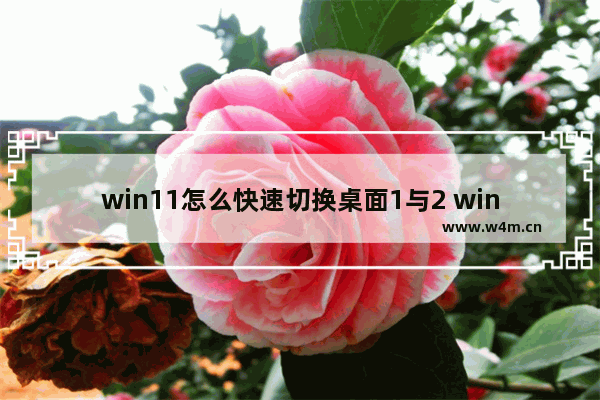 win11怎么快速切换桌面1与2 windows11怎么快速切换两个桌面,