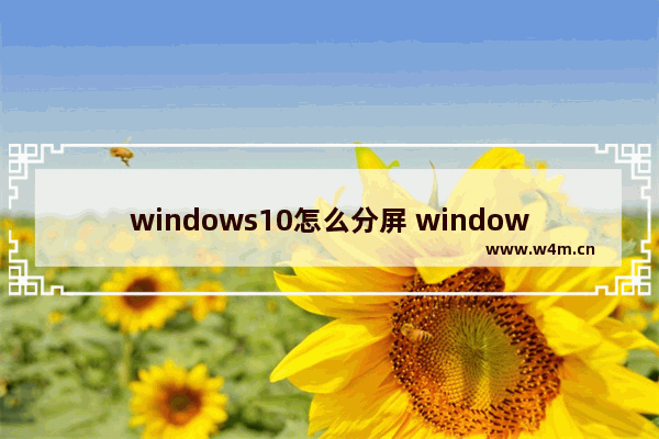 windows10怎么分屏 windows10分屏教程