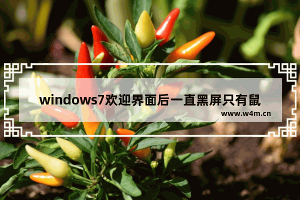 windows7欢迎界面后一直黑屏只有鼠标怎么办