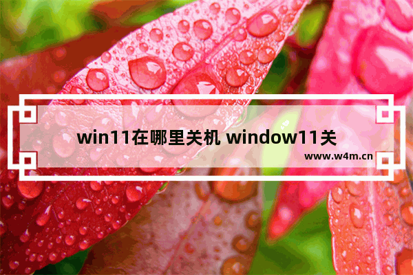 win11在哪里关机 window11关机在哪里