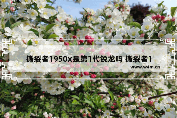 撕裂者1950x是第1代锐龙吗 撕裂者1950x可以升级win11吗