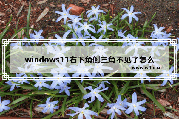 windows11右下角倒三角不见了怎么办 windows11右下角倒三角不见了解决办法