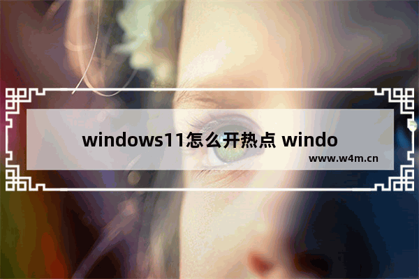 windows11怎么开热点 windows11开热点方法