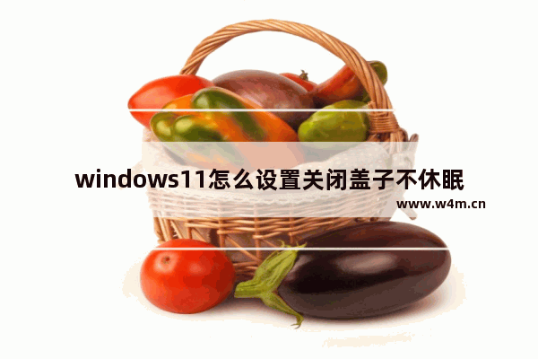 windows11怎么设置关闭盖子不休眠 windows11设置关闭盖子不休眠教程