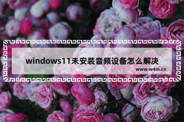 windows11未安装音频设备怎么解决 windows11未安装音频设备解决方法