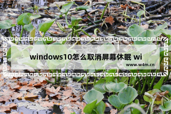 windows10怎么取消屏幕休眠 windows10取消屏幕休眠教程