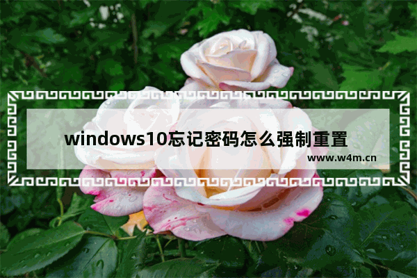 windows10忘记密码怎么强制重置 windows10忘记密码强制重置教程