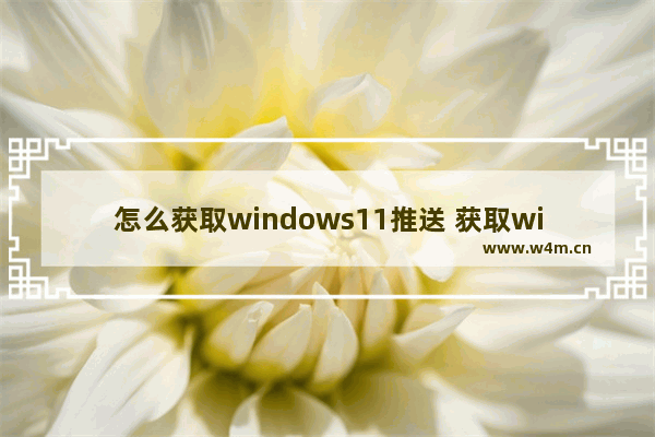 怎么获取windows11推送 获取windows11推送教程