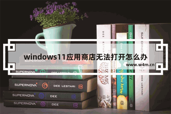 windows11应用商店无法打开怎么办 windows11应用商店无法打开解决办法