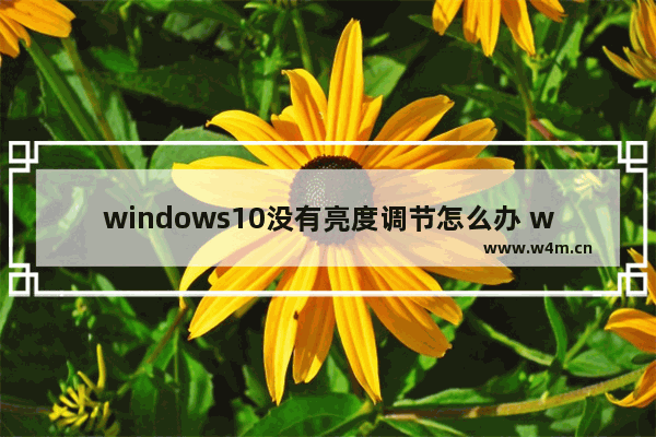 windows10没有亮度调节怎么办 windows10没有亮度调节解决办法